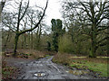 Farm track by railway