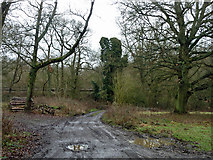 TQ0552 : Farm track by railway by Robin Webster