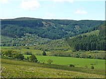 NR7941 : Carradale Glen near Brackley by Archie Cochrane