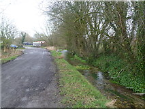 ST9003 : Spetisbury, stream by Mike Faherty