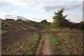 Footpath to New Barn Farm