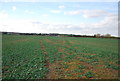 Footpath to the A228