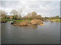 The Avon at Cliffe Cottage