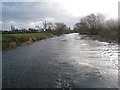 The Avon at Cliffe Cottage (2)