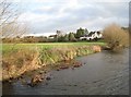 The Avon near Alveston