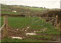 Fields near Wigdon Mill