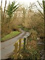 Lane near Lower Hewton