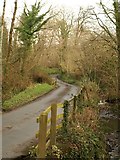 SX5092 : Lane near Lower Hewton by Derek Harper