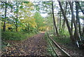 Blackwater Valley Path heading south