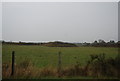 Farmland north of Molehill Rd