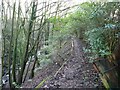 Footpath along Steeton Beck