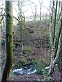 Steeton Beck at Whitley Head