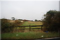 Farmland and fences