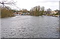 The Thames at Lower Halliford