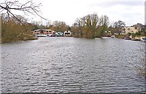 TQ0866 : The Thames at Lower Halliford by Mike Smith