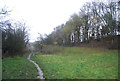 Footpath in the Loose Valley