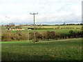 Telegraph poles south of Thorpe