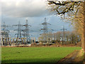 Tall pylons by electricity substation west of Bullen Wood, Burstall