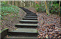 J4078 : Steps, Glenlyon, Holywood (1) by Albert Bridge
