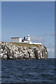 NU2135 : Inner Farne Lighthouse and Cliff by Peter Skynner