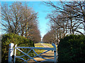 Gate and Avenue, Woodperry House