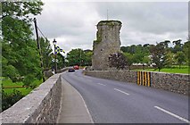 S0138 : Bridge over the River Suir and the castle at Golden, Co. Tipperary by P L Chadwick