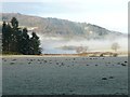 Mist over the River Tay