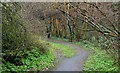 J4078 : Path, Glenlyon, Holywood (3) by Albert Bridge