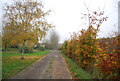 Track from Woodlands Farm