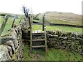 Ladder Stile on Castle Hill