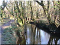 Llwybr glanafon / Riverside path