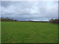 Bridleway across a field towards The Whitamoors