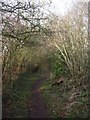 Footpath off School Lane, Chelwood