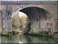 The old L&SWR bridge over the River Mole at Leatherhead