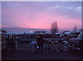 SO9524 : Sunrise at the car boot sale, Cheltenham race course by Vieve Forward