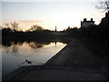 Part of the River Severn in Shrewsbury