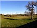 Field and Pont valley east of Stamfordham