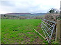 View to the Black Mountains