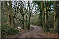 Binsted Lane at the National Park boundary