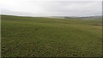 NT4247 : Improved pasture, Symington Hill by Richard Webb