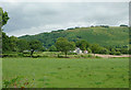 Pasture near Pont Gogoyan, Ceredigion