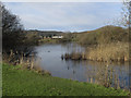 Old Castle Lake, Llanelli