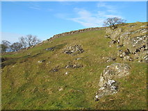 NY6766 : Rock outcrop below Hadrian's Wall west of Walltown Farm by Mike Quinn
