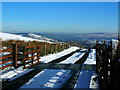 Cattle grid and snowy access road