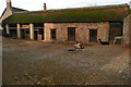 Alpacas at West Lynch Farm