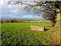 View from Barns Farm