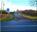 Aberthin Lane near Cowbridge