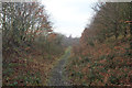 SE3606 : Path on part of old Barnsley canal by Martin Lee