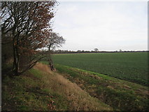 SE6612 : View across the Ashfields by Jonathan Thacker
