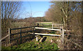 Footpath Over The Brook